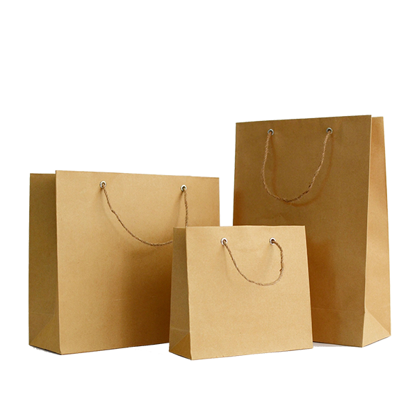 Túi giấy thiết kế độc đáo